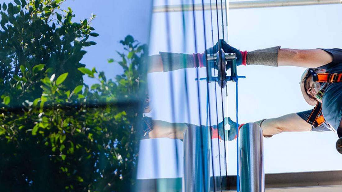 A person in safety gear is cleaning a glass surface on a building, with green foliage visible in the background.