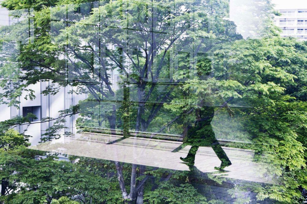 A person walking on a glass bridge between two office towers with tall green trees reflected in the glass, suggesting a blend of nature and urban life.